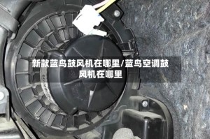 新款蓝鸟鼓风机在哪里/蓝鸟空调鼓风机在哪里
