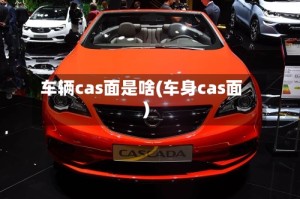 车辆cas面是啥(车身cas面)