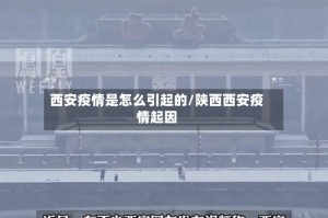 西安疫情是怎么引起的/陕西西安疫情起因