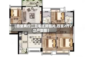 【四室两厅二卫毛坯房图片,四室2厅2卫户型图】