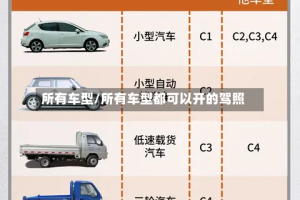 所有车型/所有车型都可以开的驾照