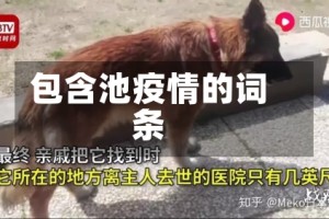 包含池疫情的词条