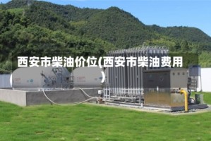 西安市柴油价位(西安市柴油费用)