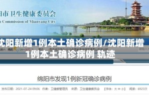 沈阳新增1例本土确诊病例/沈阳新增1例本土确诊病例 轨迹