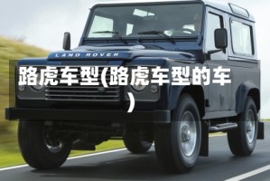路虎车型(路虎车型的车)