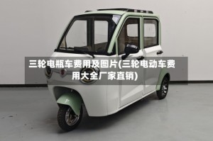 三轮电瓶车费用及图片(三轮电动车费用大全厂家直销)