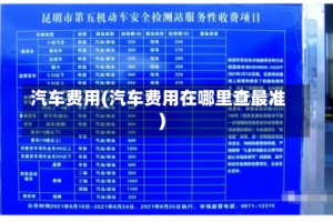 汽车费用(汽车费用在哪里查最准)