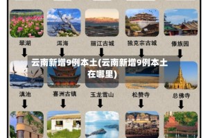 云南新增9例本土(云南新增9例本土在哪里)