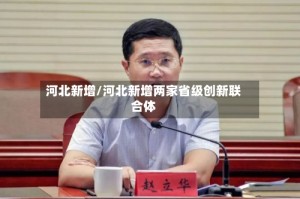 河北新增/河北新增两家省级创新联合体