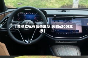 【奔驰立标有哪些车型,奔驰e300l立标】