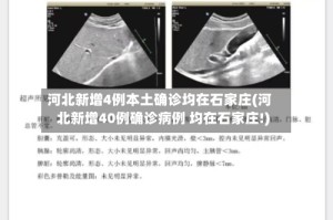 河北新增4例本土确诊均在石家庄(河北新增40例确诊病例 均在石家庄!)