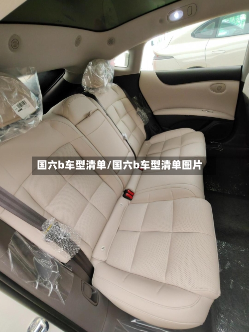 国六b车型清单/国六b车型清单图片-第3张图片