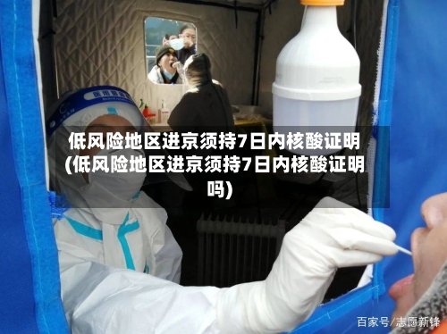 低风险地区进京须持7日内核酸证明(低风险地区进京须持7日内核酸证明吗)-第1张图片