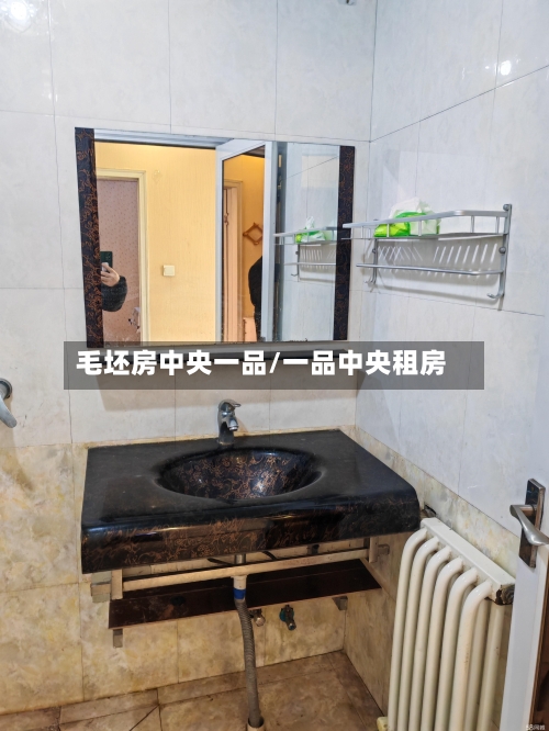 毛坯房中央一品/一品中央租房-第1张图片