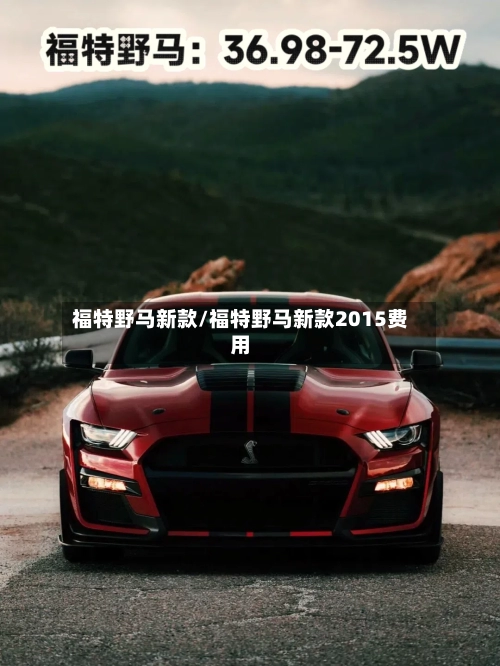 福特野马新款/福特野马新款2015费用-第1张图片