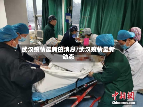 武汉疫情最新的消息/武汉疫情最新动态-第2张图片