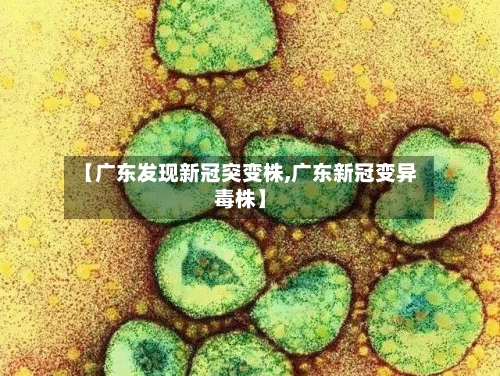 【广东发现新冠突变株,广东新冠变异毒株】-第1张图片