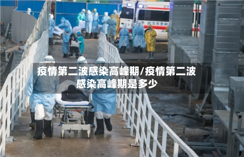疫情第二波感染高峰期/疫情第二波感染高峰期是多少-第2张图片