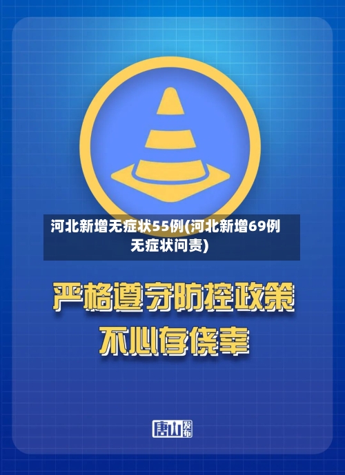 河北新增无症状55例(河北新增69例无症状问责)-第2张图片