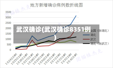 武汉确诊(武汉确诊8351例)-第3张图片