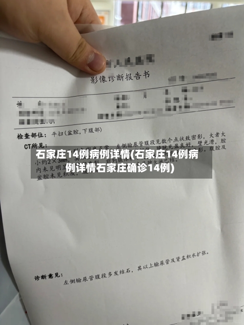 石家庄14例病例详情(石家庄14例病例详情石家庄确诊14例)-第1张图片