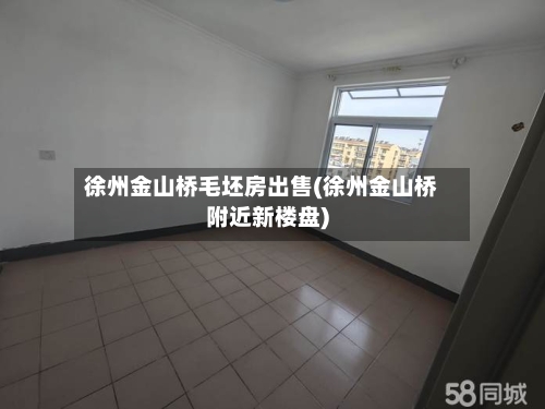 徐州金山桥毛坯房出售(徐州金山桥附近新楼盘)-第3张图片