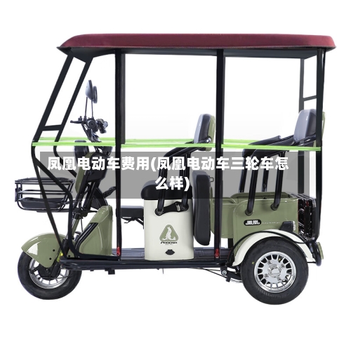 凤凰电动车费用(凤凰电动车三轮车怎么样)-第2张图片