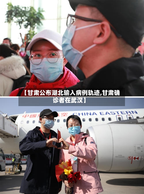 【甘肃公布湖北输入病例轨迹,甘肃确诊者在武汉】-第2张图片