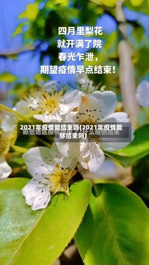 2021年疫情能结束吗(2021年疫情能够结束吗)-第1张图片