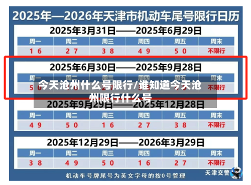 今天沧州什么号限行/谁知道今天沧州限行什么号-第1张图片