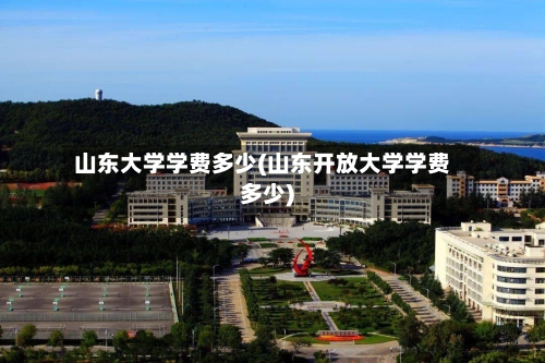 山东大学学费多少(山东开放大学学费多少)-第1张图片