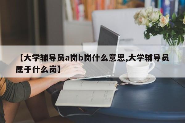 【大学辅导员a岗b岗什么意思,大学辅导员属于什么岗】